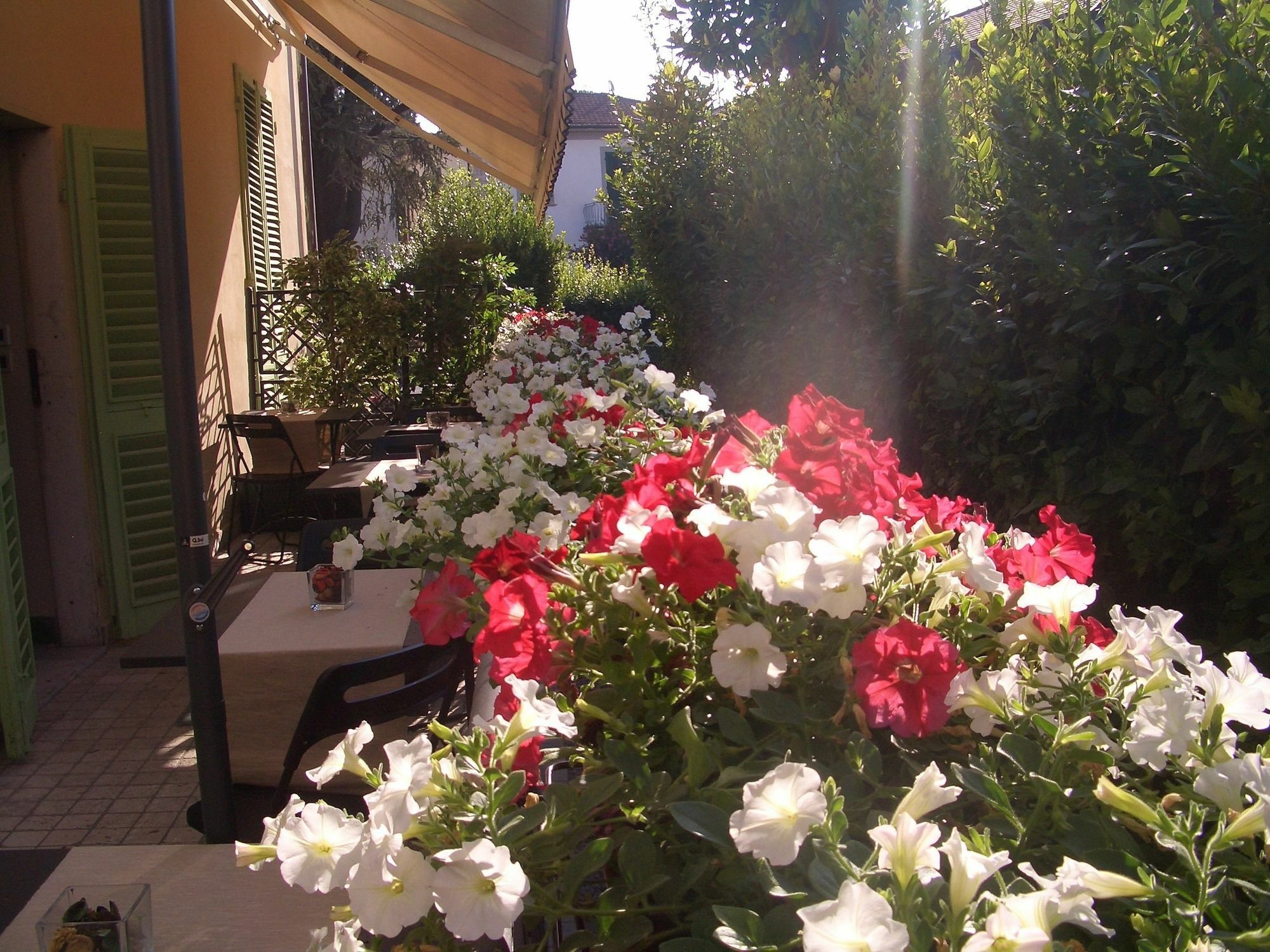Lucca Relais Bed & Breakfast Bagian luar foto
